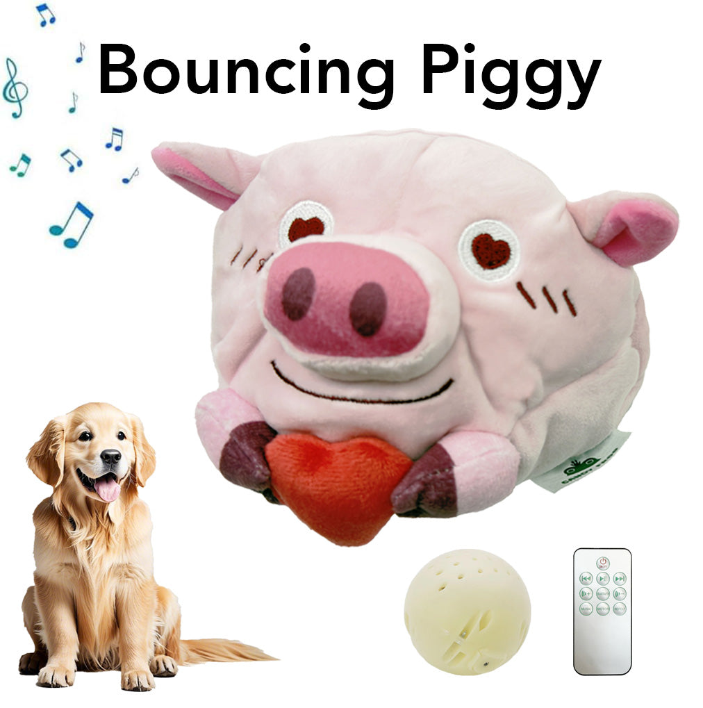 Bouncing Piggy Dog Toy【Candy Frog】